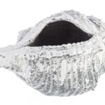Vaso Conchiglia Magnesia 68x38