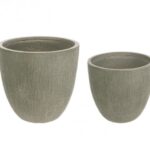 Set2 P.vaso Brush Basso Salvia
