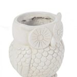 P.vaso Garden Civetta S