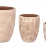 Set3 P.vaso Minh Svas Terracotta Marrone