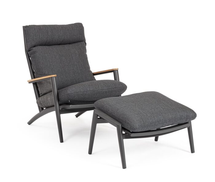 Poltrona Lounge C-c C-pog Ibisco An Wg21 - immagine 2