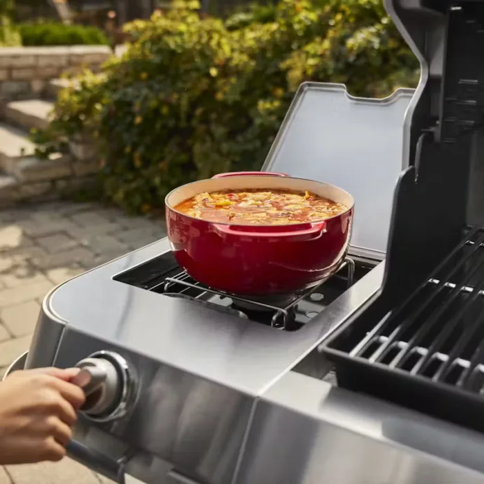 Weber Barbecue A Gas Summit Fs38x E - Image 4