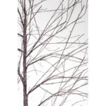 ALBERO BUNCH MAR 1500MICROLED CL H180 - immagine 3