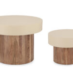 Set2 Tavolino Ananya