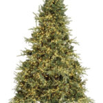 Albero Di Natale Ritter H240-4711rami 7800led